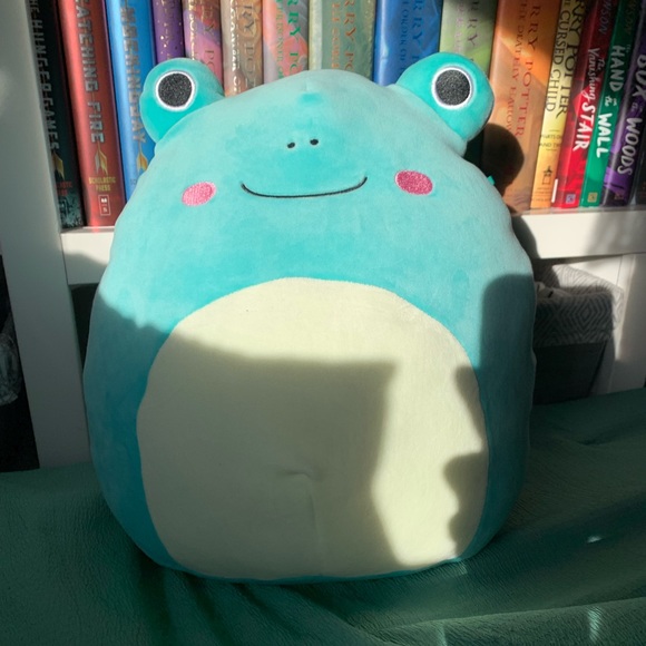 roberto squishmallow